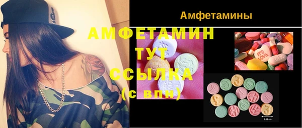 дмт Алексин