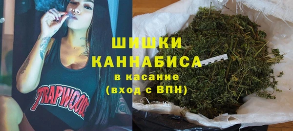 ГАЛЛЮЦИНОГЕННЫЕ ГРИБЫ Алексеевка