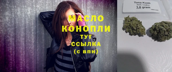дмт Алексин