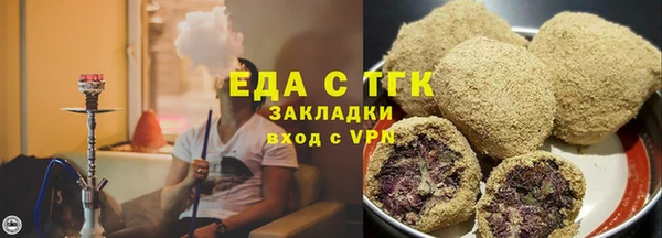 прущие грибы Инта